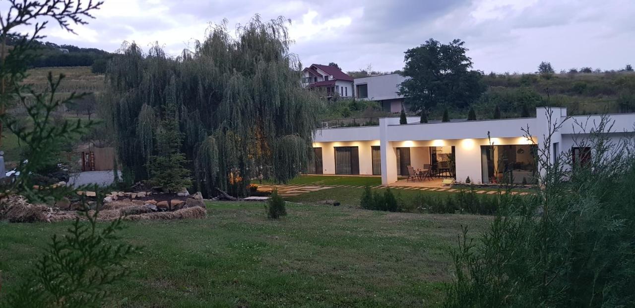 Ferienwohnung La Salcia Din Padure Alba Iulia Exterior foto